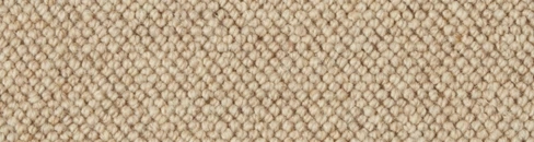 Close-up of beige wool loop pile carpet texture