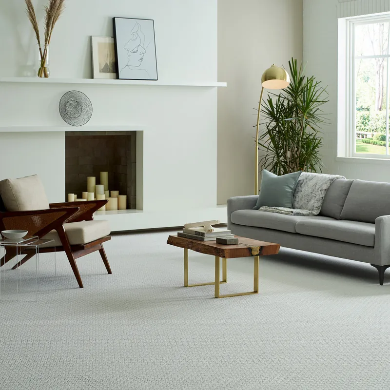 Light gray textured loop carpet in a bright, modern living room.