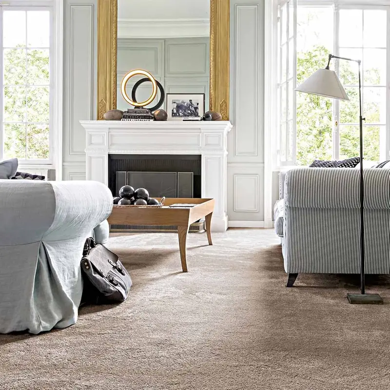 Warm taupe cut pile carpet in a classic living room with white paneling.