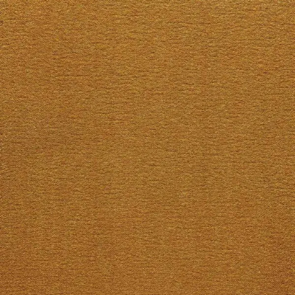 Golden mustard wool carpet with a smooth, velvety finish.