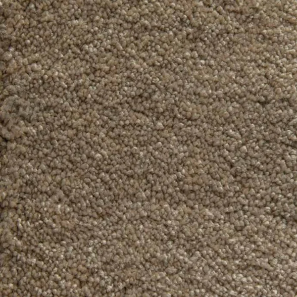 Taupe wool carpet with a thick, textured loop pile.